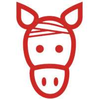 Page view: /kontakt/